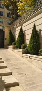 رایحه گستر سبزینه