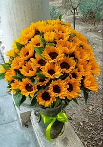 گالری گل وگیاه، سلطان 3