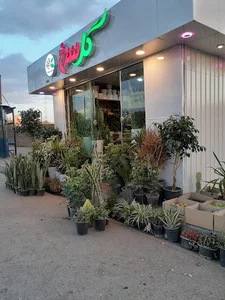 گل سرخ