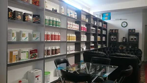 گروه شرکت های ادن