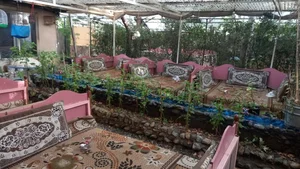باغچه سبز