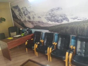 کارشو