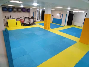 باشگاه رزمی استاد حجت شریفی