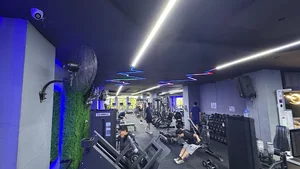 باشگاه بدنسازی وینر