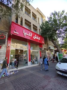 کفش گلپا
