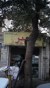 شوینده آرایشی بهداشتی امیر