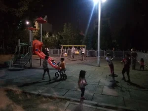 بوستان نارون