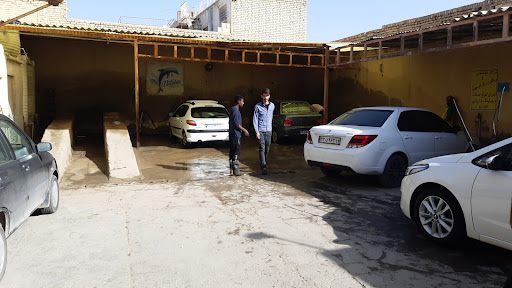 کارواش دلفین