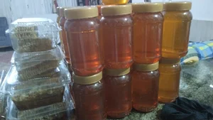 عسل بینالود فریزی (شجاع)