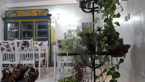 غذاخوری فانوس شب
