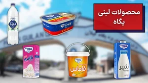 لبنیات سنتی چمتر ملار ممسنی