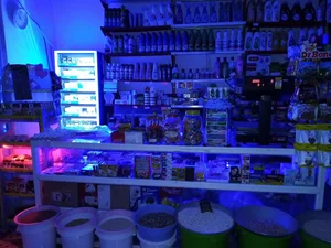 سوپر مارکت گلسرخ(علی قیاسی) 2