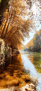 باغبادران، باغبهادران