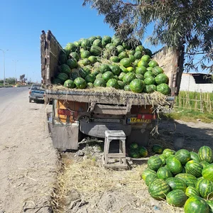 خوراک دام و طیور یونس صادقی