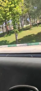 فضای سبز 5