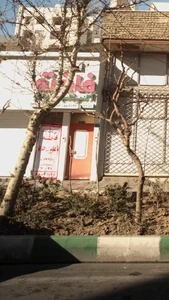 باشگاه فاخته 3