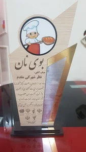 مجتمع تولیدنان شهرکی