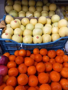میوه فروشی رحیمی 2
