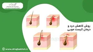 مطب دکتر صحرا عباسی
