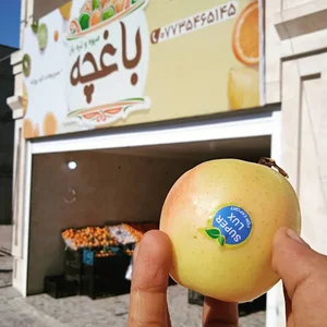 باغچه