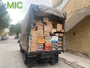 شرکت تولید و پخش MIC