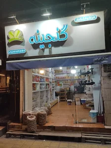 حمیدیان