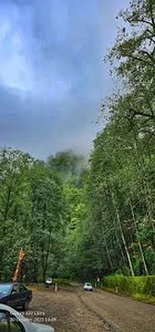 جاده جنگلی عباس آباد کلاردشت 🌳 مسیری رویایی و مقصد گردشگری
