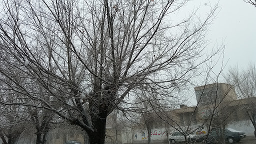 سالن زیبایی دیاموند سیرجان