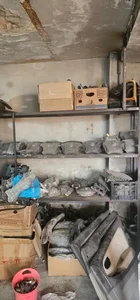 استوک ماکسیما کوهساریان