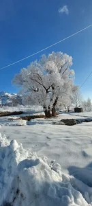 شفاف آلومینیوم