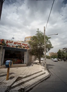 میوه سرای ترنج 2