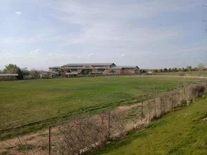 زمین چمن دانشگاه 5