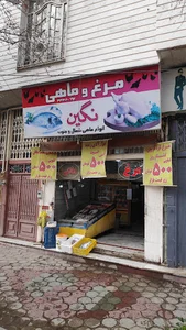 مرغ و ماهی نگین