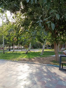 خوشحالی فروشی گالری قلقلک(کلبه صورتی)