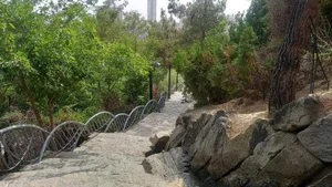 پارک کودک (شهید عسکری) 2