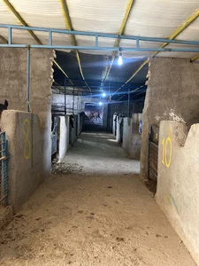 باشگاه سوارکاری آسمان