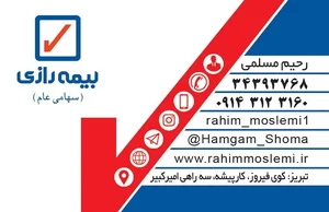 بیمه رازی نمایندگی نیرومند