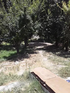 باغ مهریار