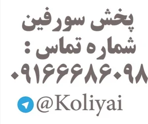 فروشگاه سورفین