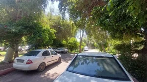 بوستان شهید مطهری 3