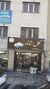 گل شانار 2
