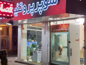 سوپر گوشت جونیکا