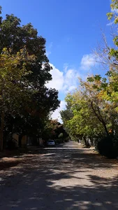 بلوار جمهوری