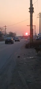 باغمعروف