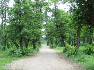پارک کیاشهر