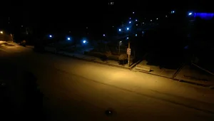 بوستان شاهد