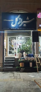 شیراز گل