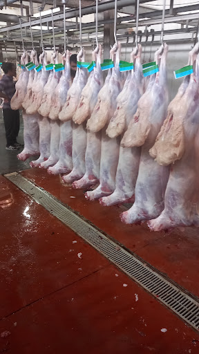 فروشگاه گوشت فرجاد