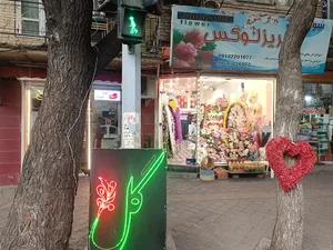 گلفروشی تبریز لوکس 2