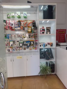 الماس رایانه بیرجند